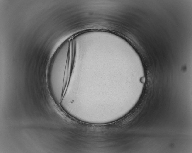 X0000116600788200912312056