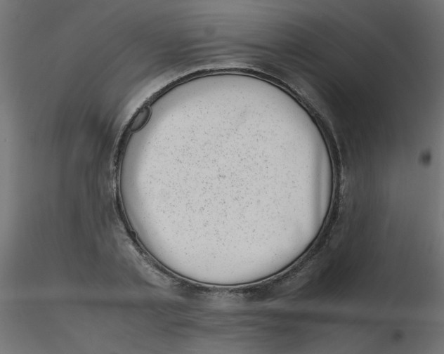 X0000116600789200912312056