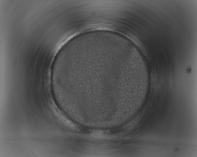 X0000116600790200912312056