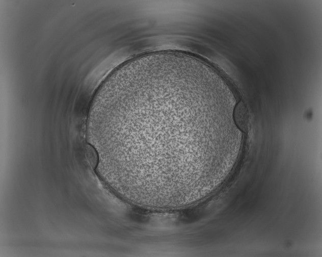 X0000116600793200912312056