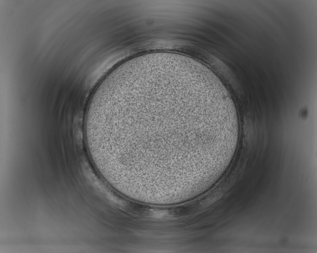 X0000116600794200912312056