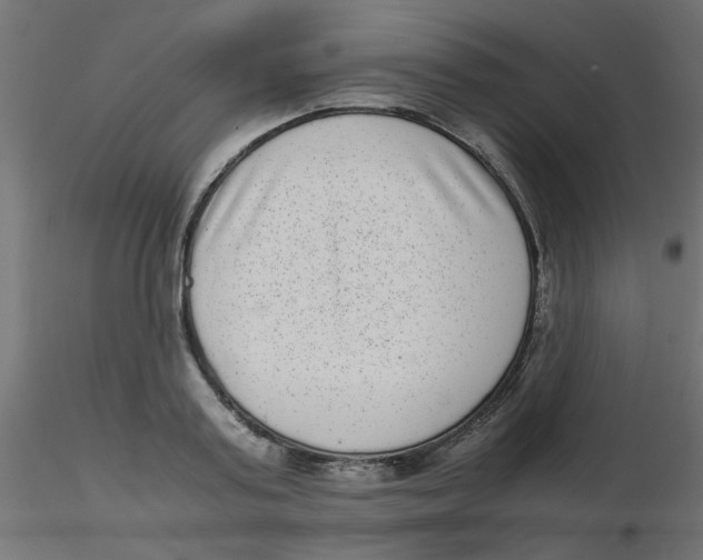 X0000116600795200912312056