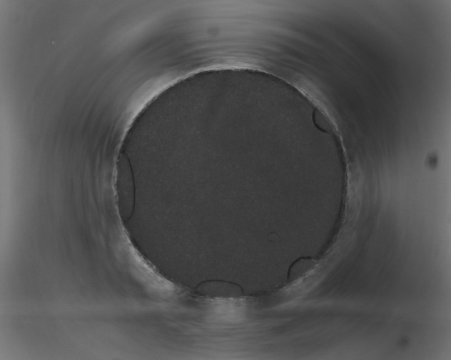 X0000116600797200912312056