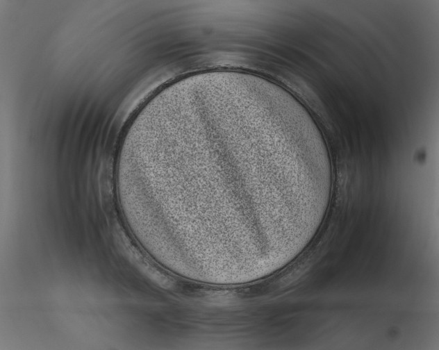 X0000116600798200912312056