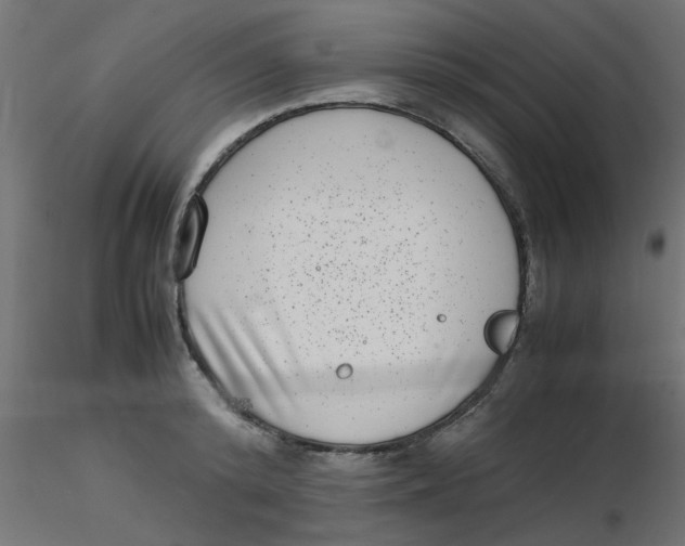 X0000116600800200912312056