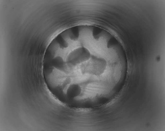 X0000116600802200912312056