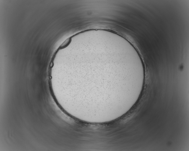 X0000116600803200912312056