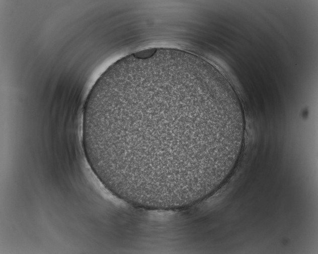 X0000116600804200912312056