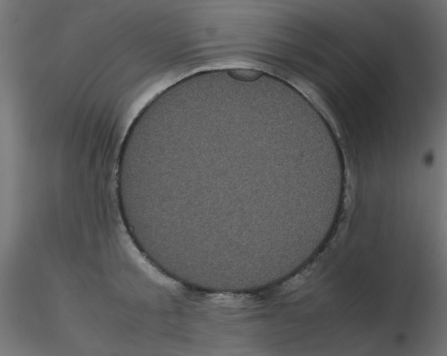 X0000116600805200912312056