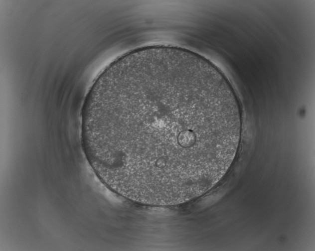 X0000116600807200912312056