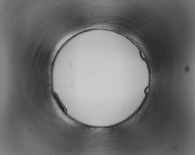 X0000116600808200912312056