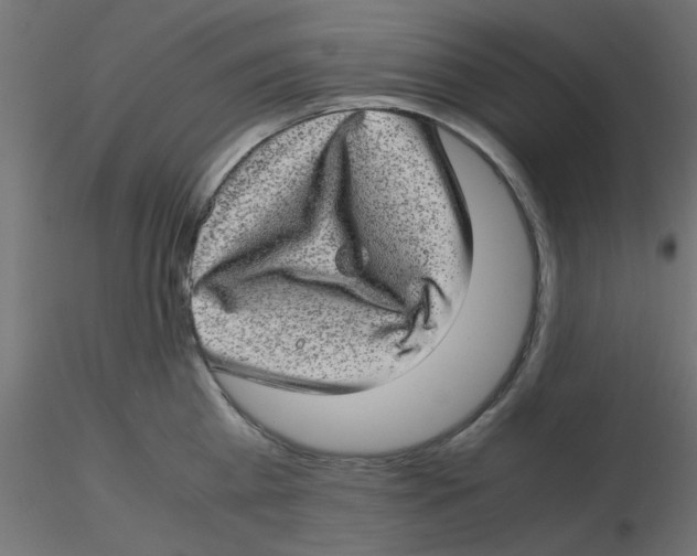 X0000116600809200912312056