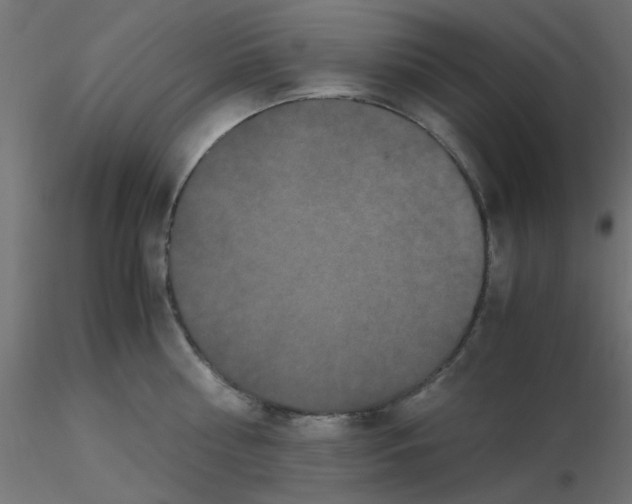 X0000116600810200912312056