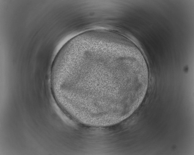 X0000116600811200912312056