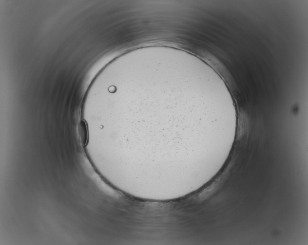 X0000116600812200912312056