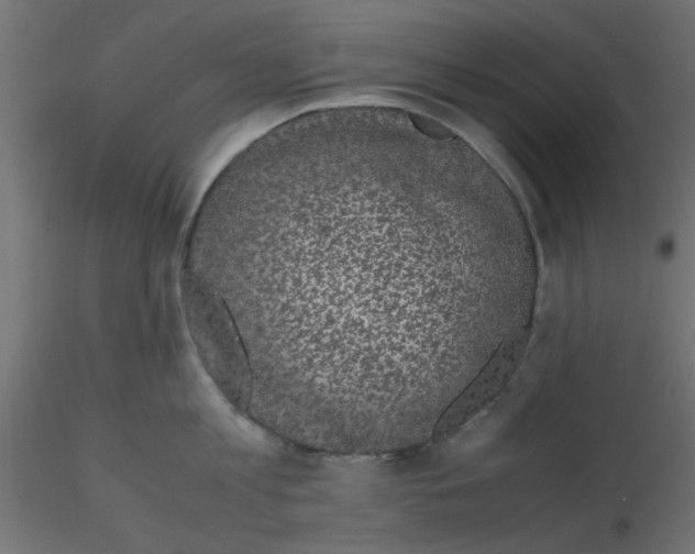 X0000116600813200912312055