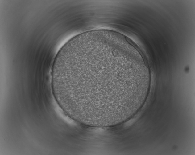 X0000116600814200912312055