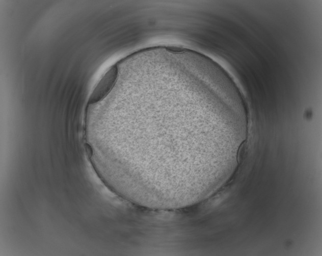 X0000116600815200912312055