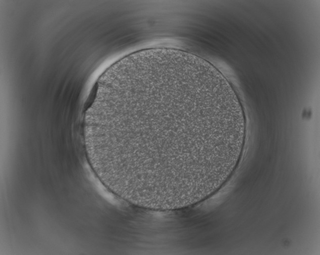 X0000116600816200912312055