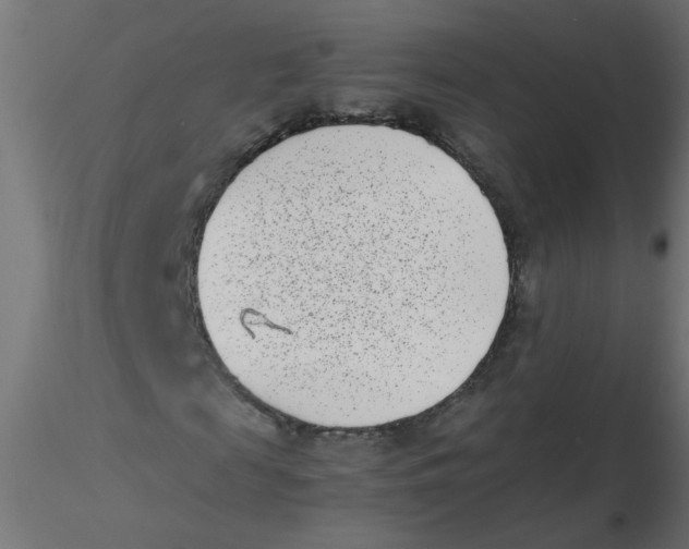 X0000116600817200912312055