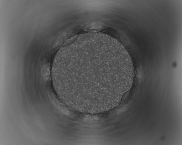 X0000116600818200912312055