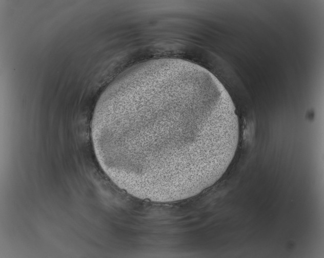 X0000116600819200912312055