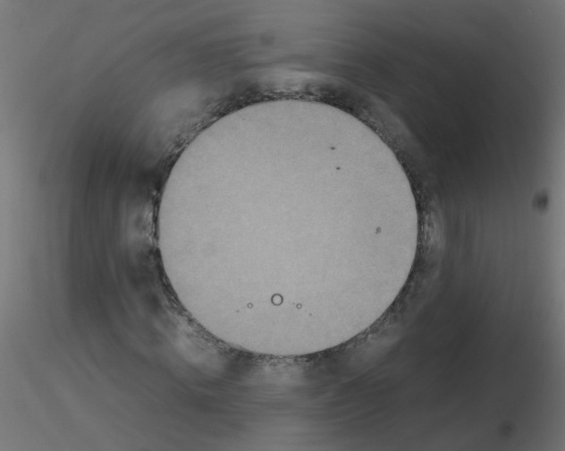 X0000116600820200912312055