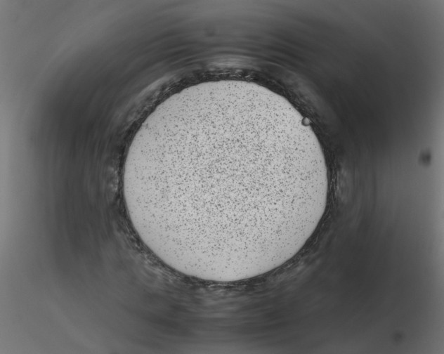 X0000116600821200912312055