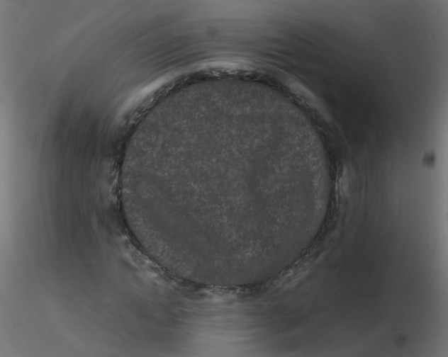 X0000116600822200912312055