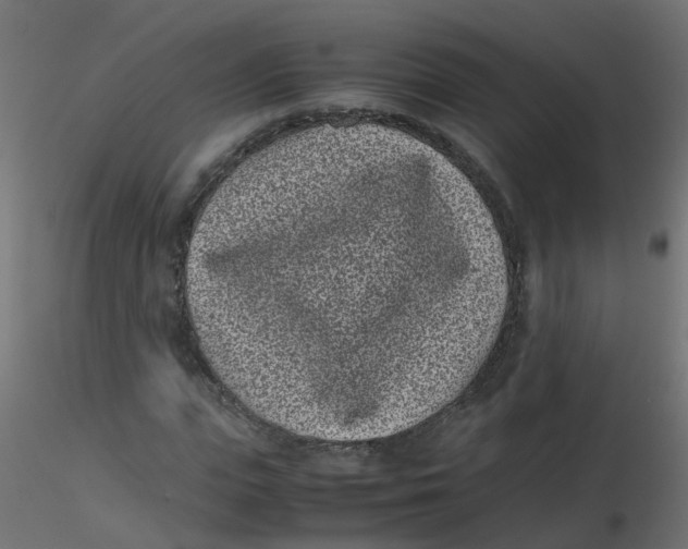 X0000116600823200912312055