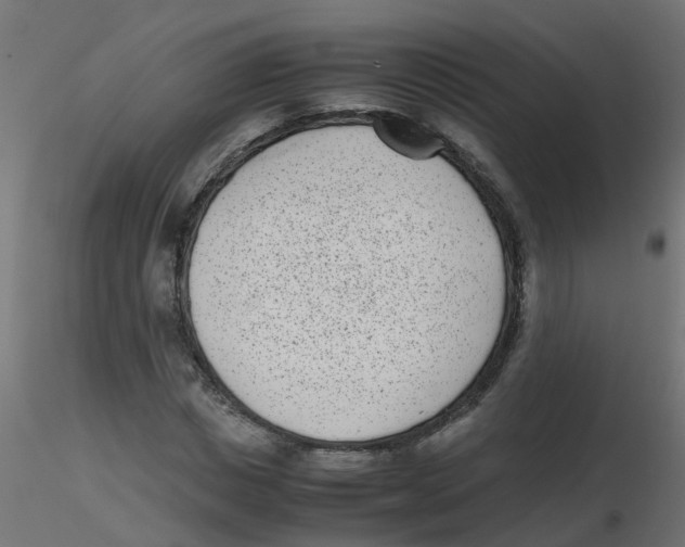 X0000116600825200912312055