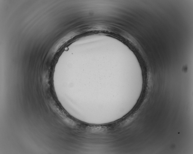 X0000116600826200912312055