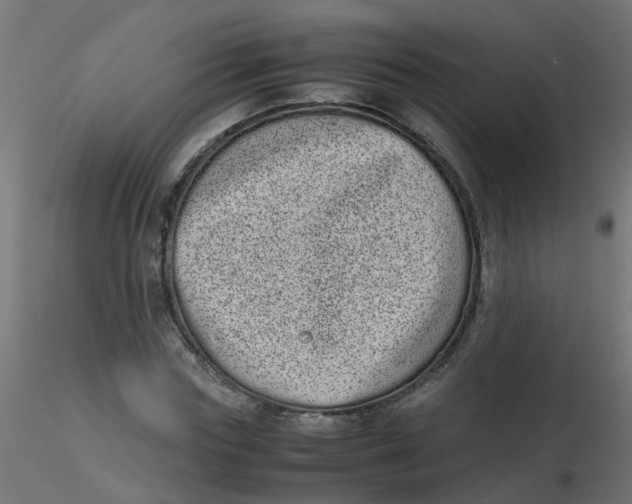 X0000116600827200912312055