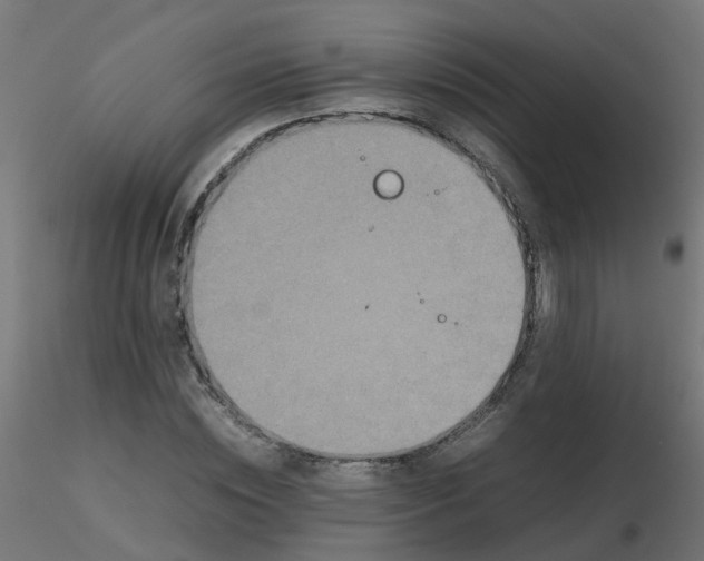 X0000116600828200912312055