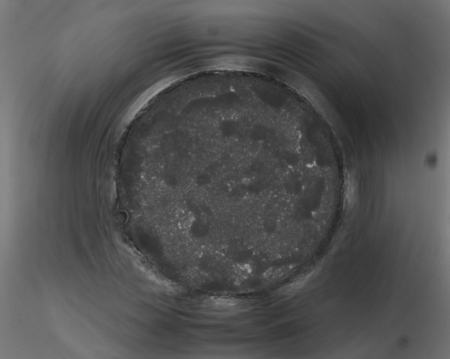 X0000116600829200912312055