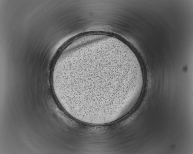 X0000116600830200912312055