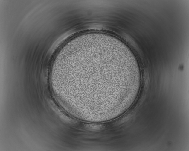 X0000116600831200912312055