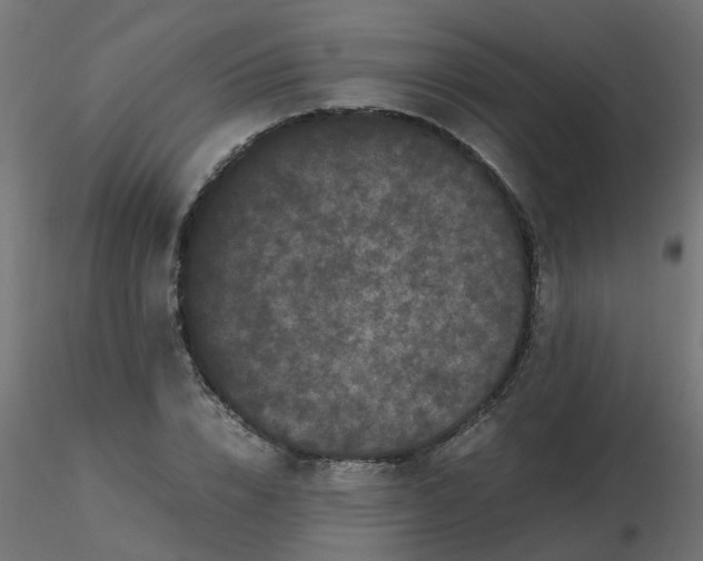 X0000116600832200912312055