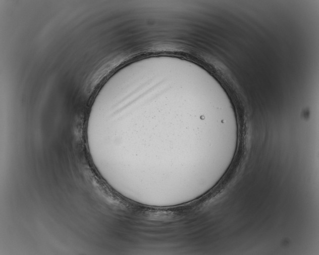 X0000116600833200912312055