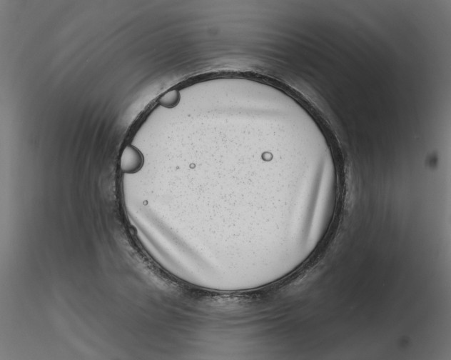 X0000116600834200912312055