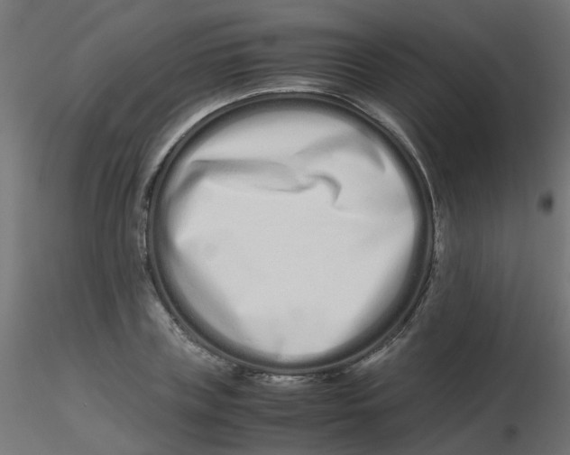 X0000116600835200912312055