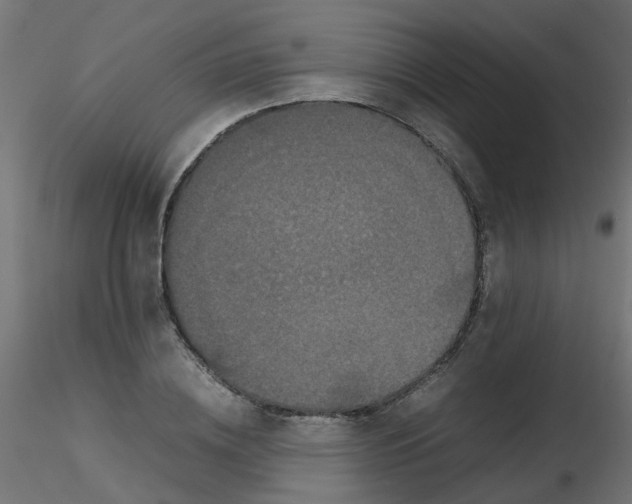 X0000116600836200912312055