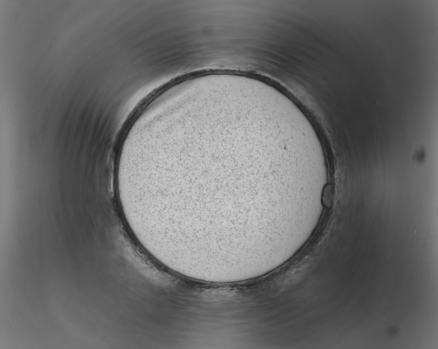 X0000116600838200912312055