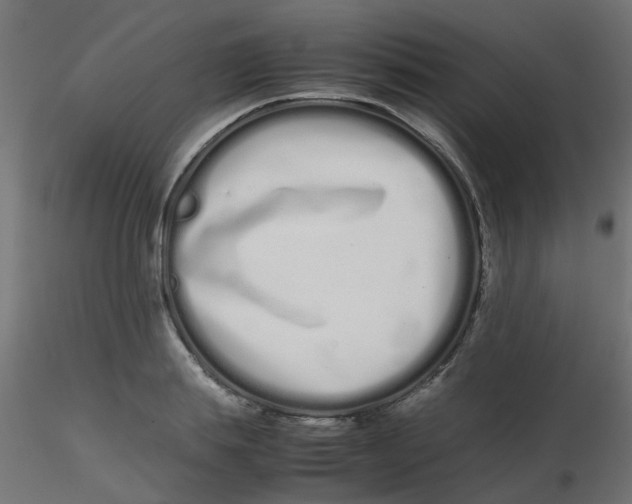 X0000116600839200912312055