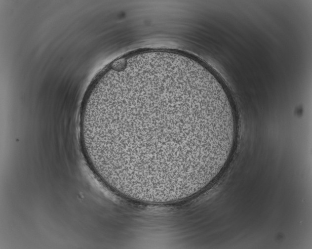 X0000116600840200912312055