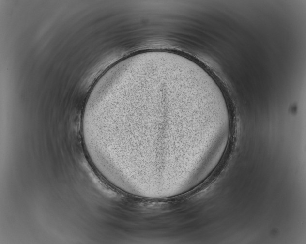 X0000116600841200912312055