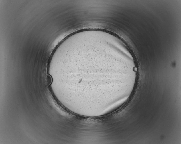 X0000116600842200912312055