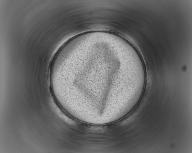 X0000116600843200912312055