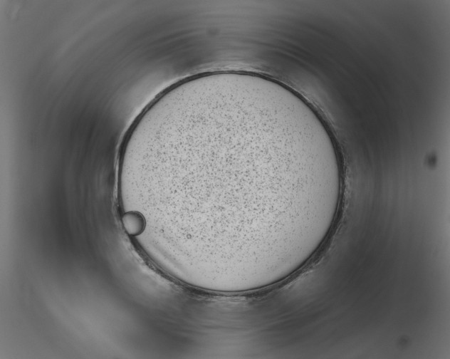 X0000116600844200912312055