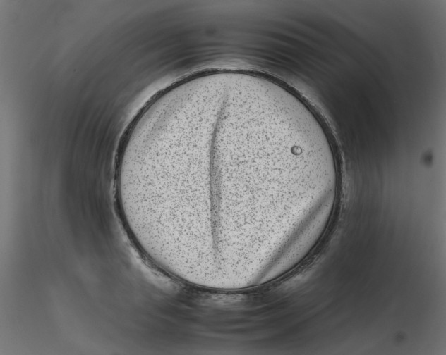 X0000116600845200912312055